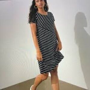 NWT Chico’s Spliced Stripe A-Line Dress Blue & White Size 4/6 New